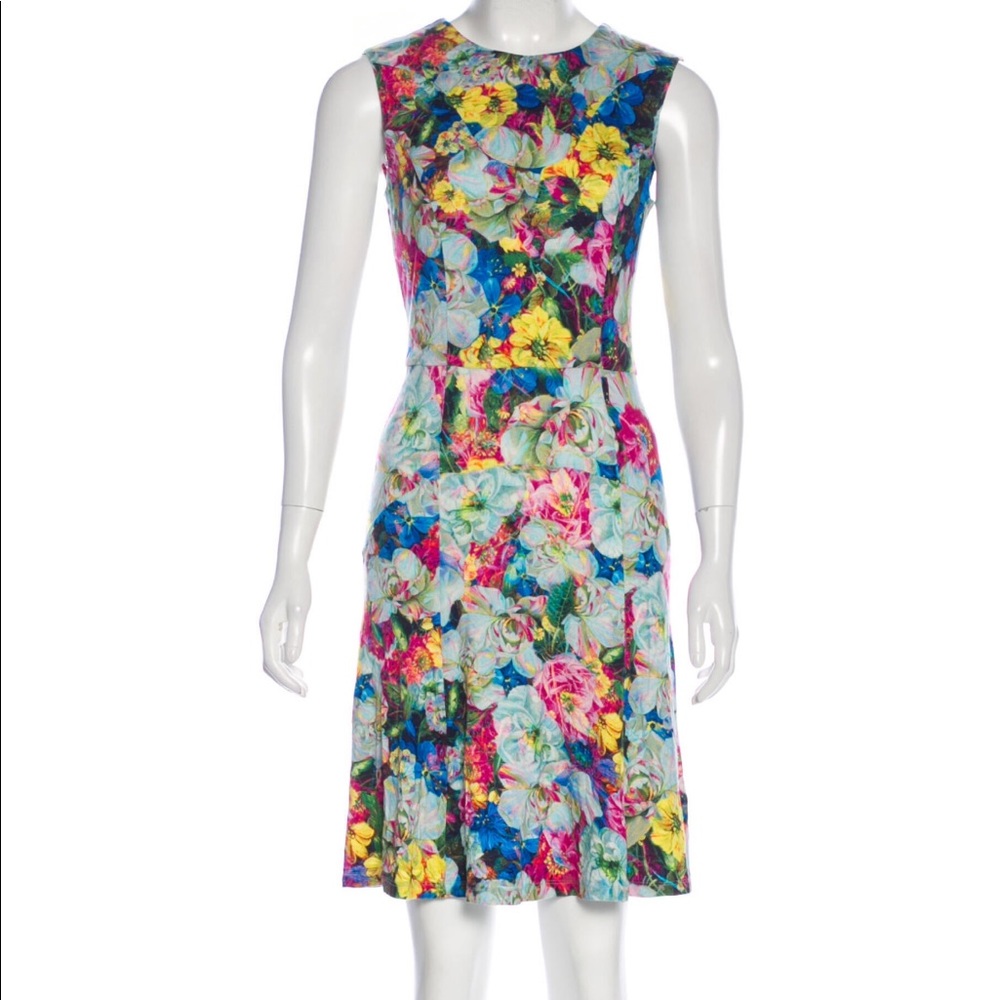 Erdem spring dress